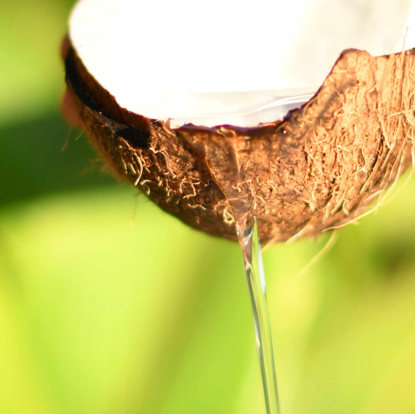 Organic Virgin Coconut Oil