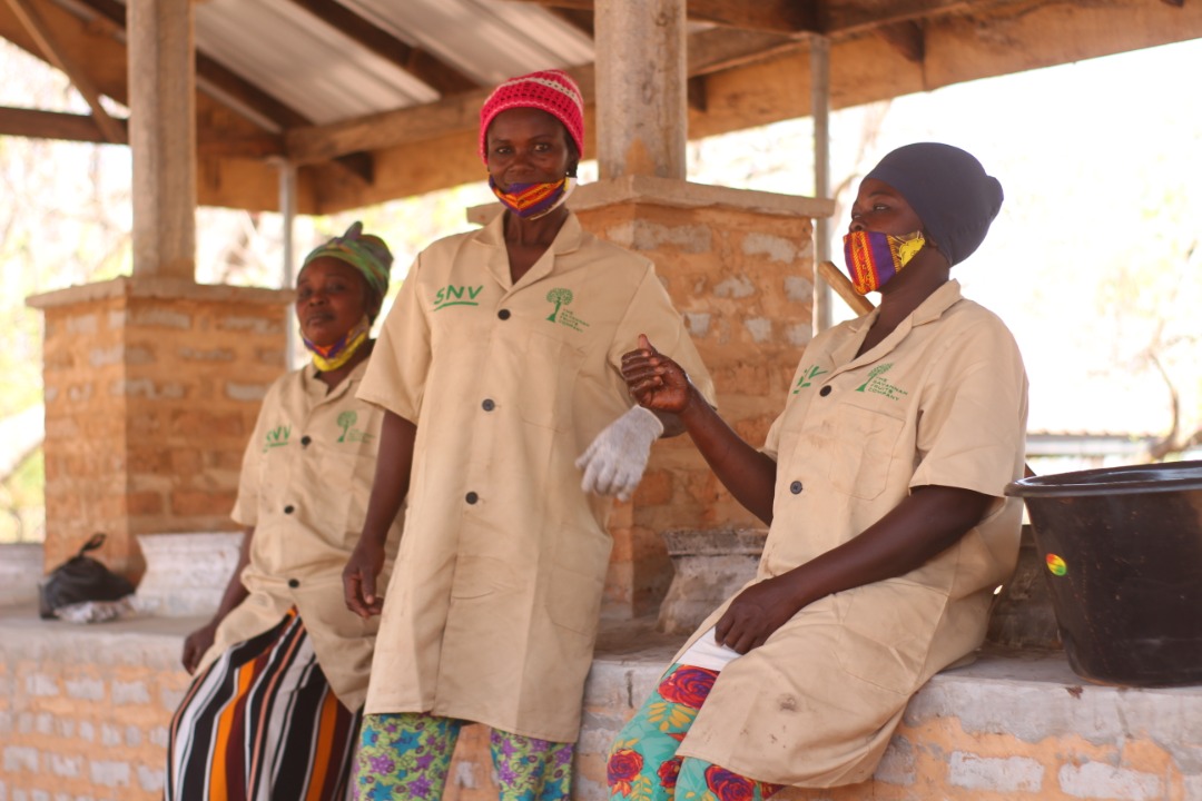 Damongo-Sunkpa Processors Co-Operative - Photo 2