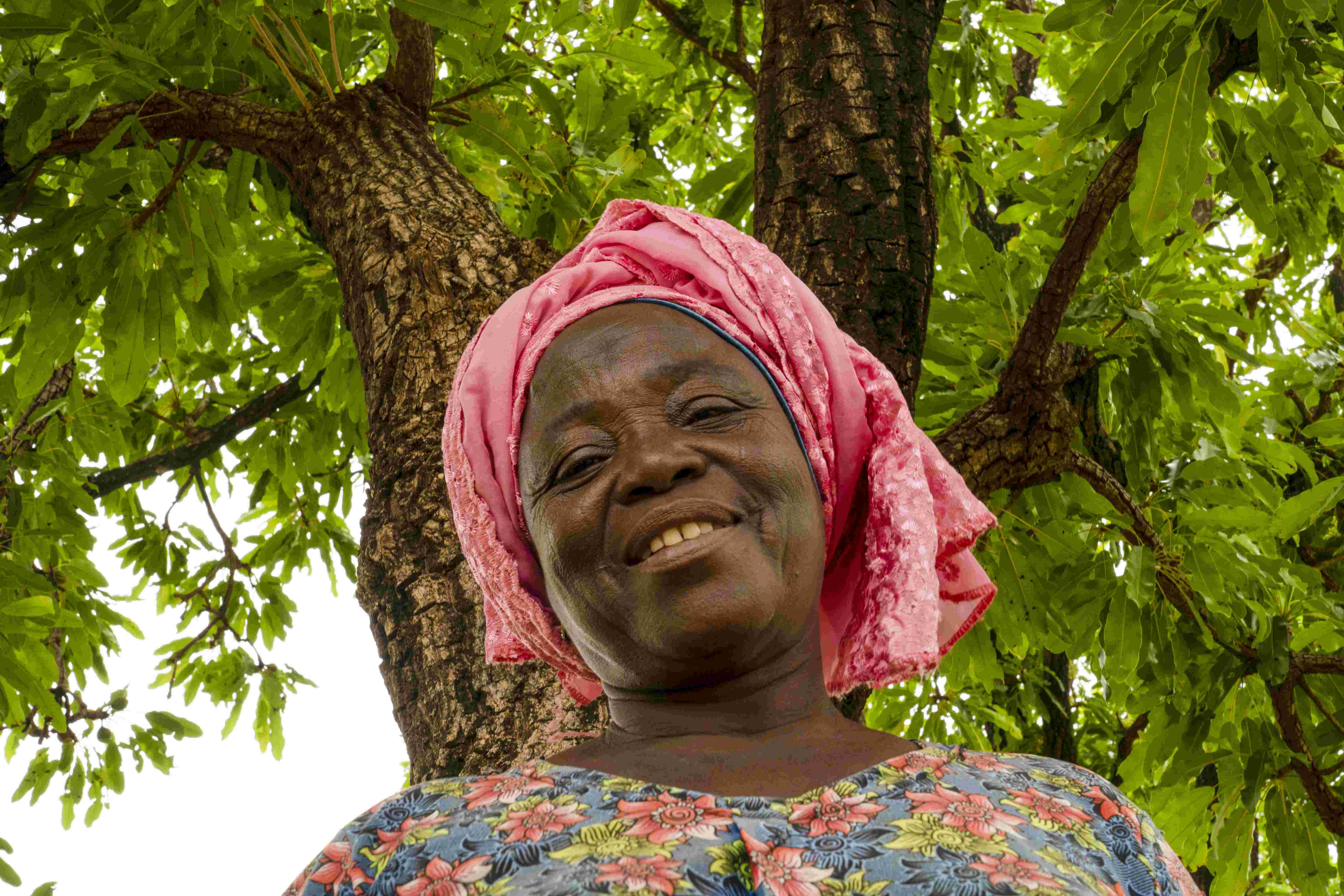 Gushegu Kpugi Sheanuts Pickers Cooperative - Photo 3