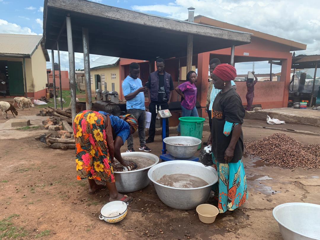 Pagsung Shea Butter Processors Cooperative - Photo 2