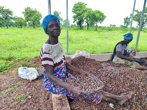 Savelugu Suglo Mboribuni Sheanut Pickers and Marketing Society - Photo 3