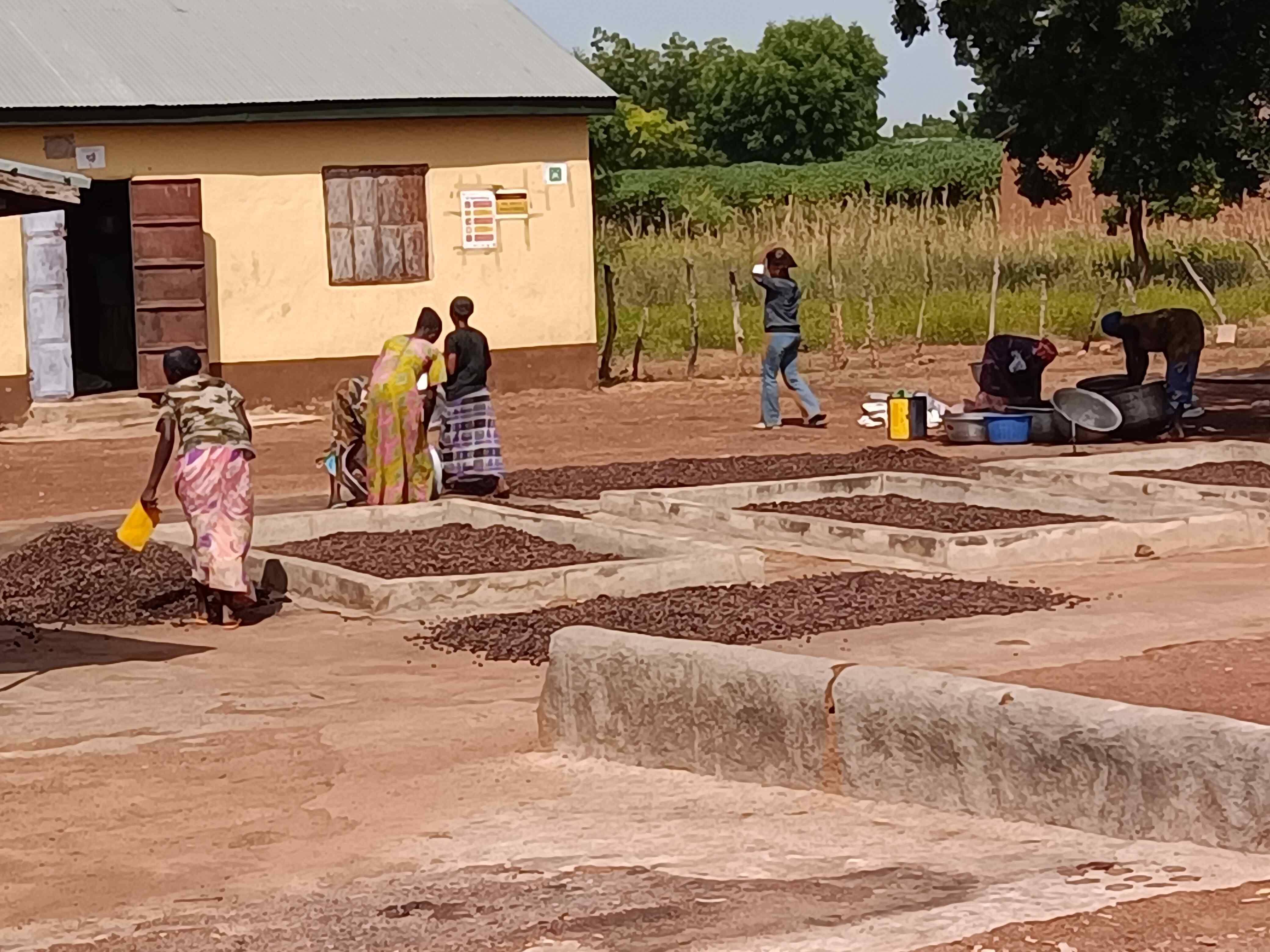 Suglo Kombo Processors Co-Operative - Photo 3