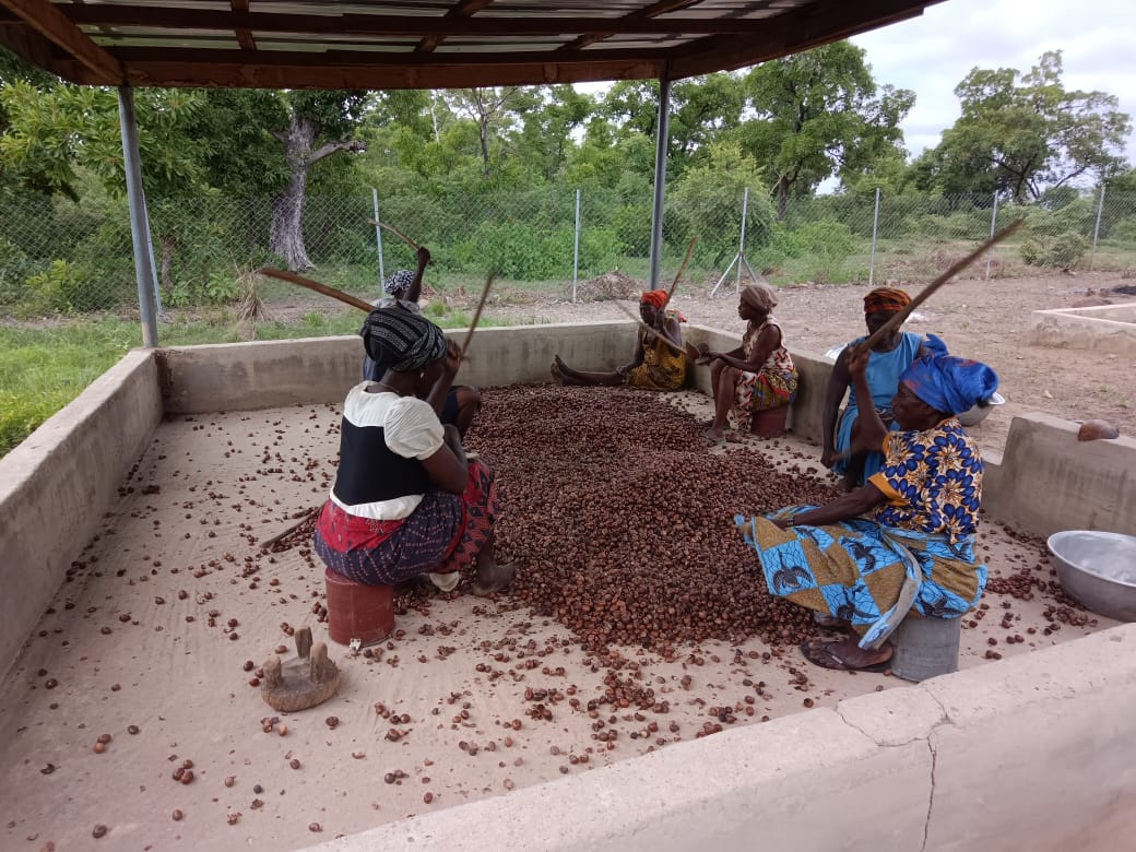 Suntaa Maal Shea Nuts Pickers Cooperative - Photo 1