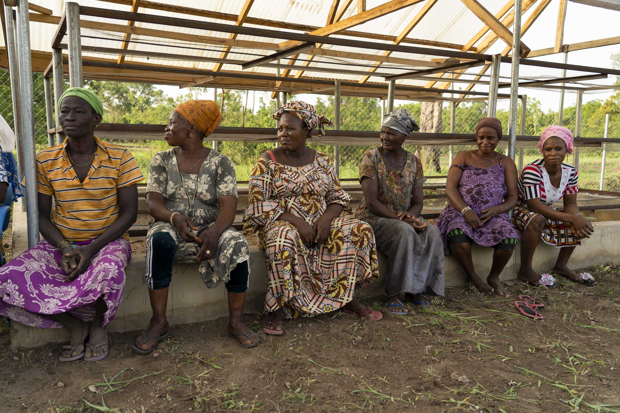 Tumu Gbarakan Sheanuts Pickers Cooperative - Photo 1