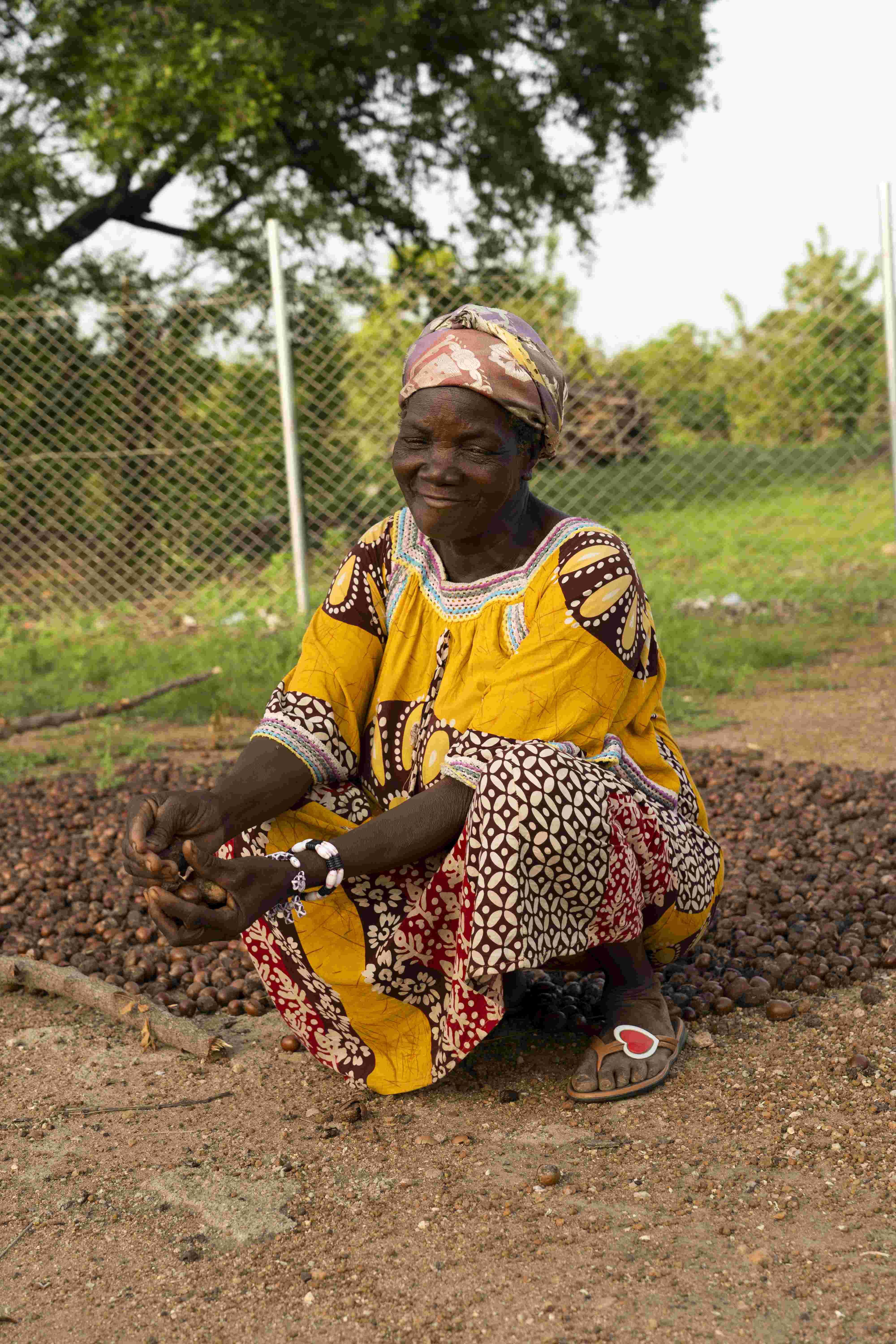 Tumu Gbarakan Sheanuts Pickers Cooperative - Photo 4