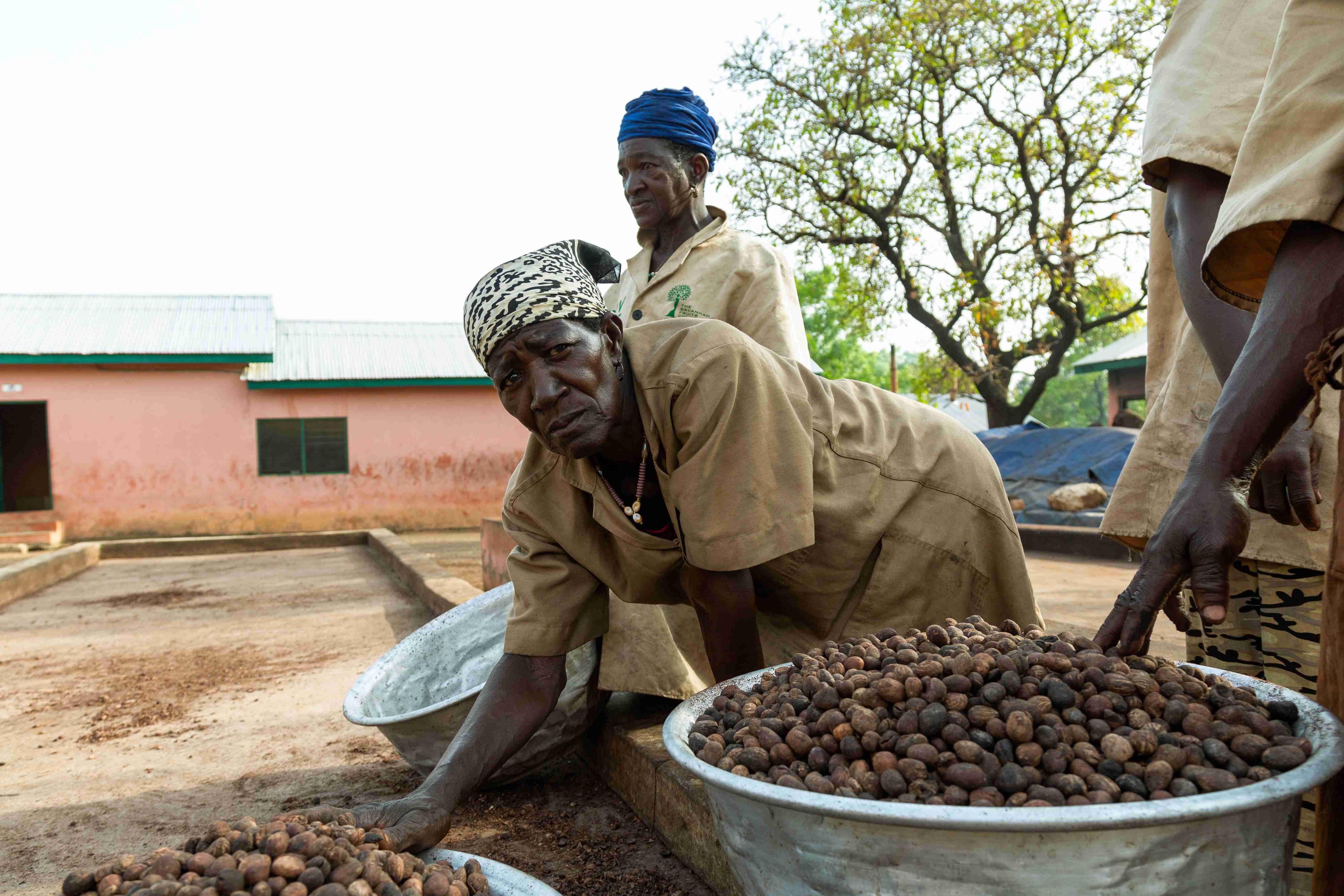 Wechiau Numbu Processors Co-Operative - Photo 1