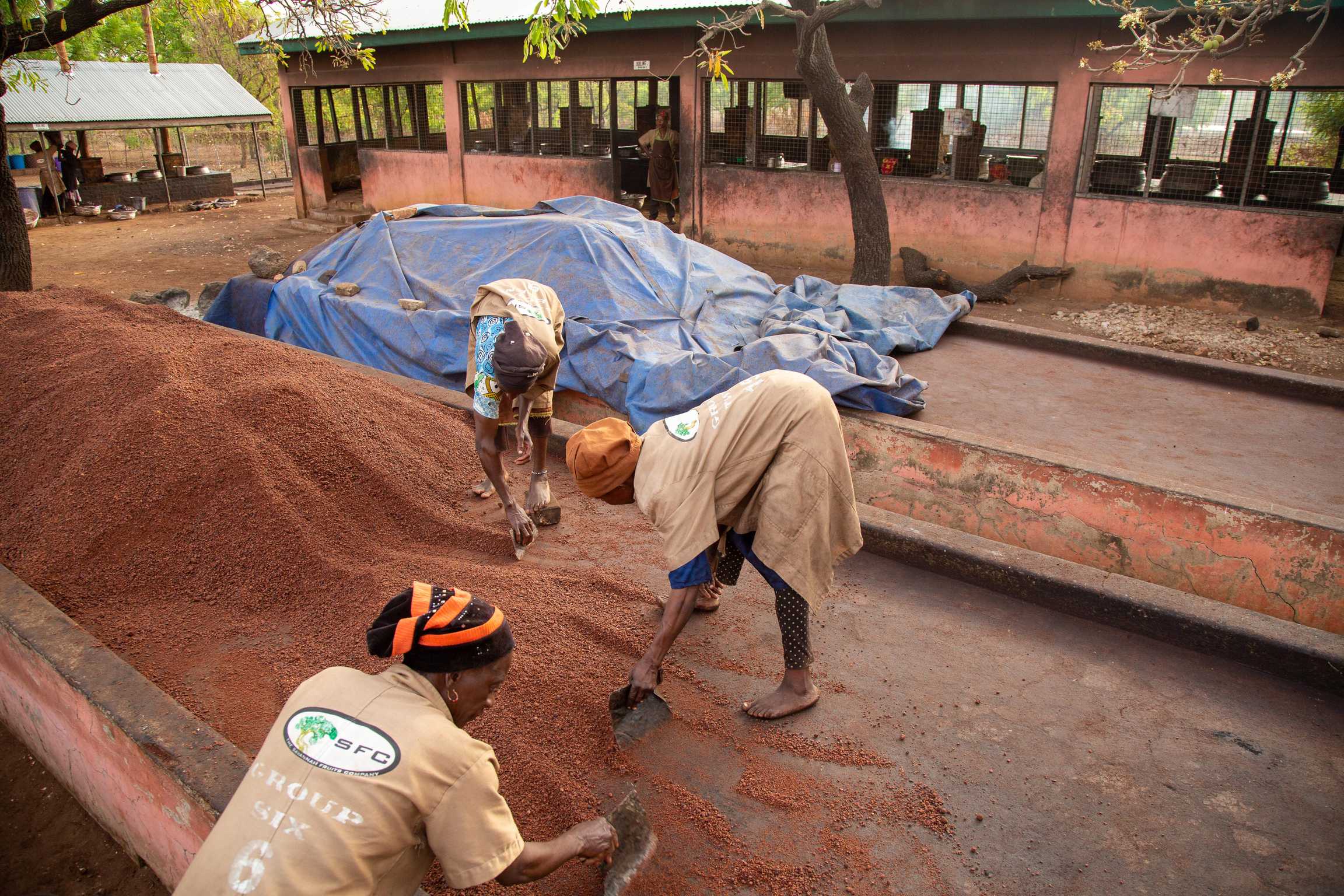 Wechiau Numbu Processors Co-Operative - Photo 2