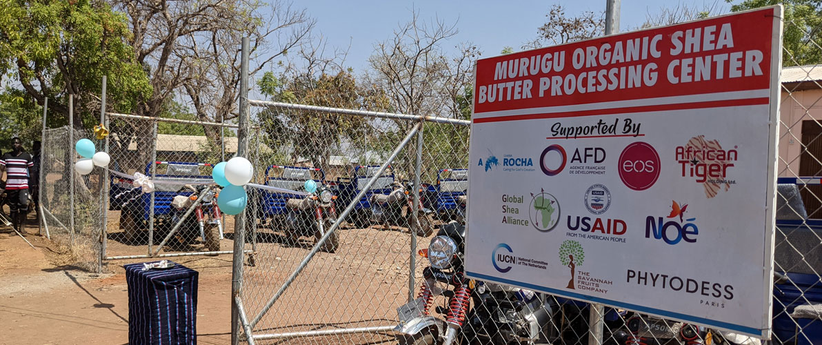 Signboard of Murugu Organic Shea Processing Center on fence with ribbons.